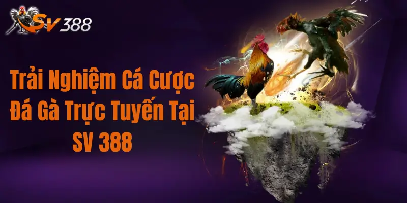 Trang Chủ 20 Trải Nghiệm Cá Cược Đá Gà Trực Tuyến Tại SV388