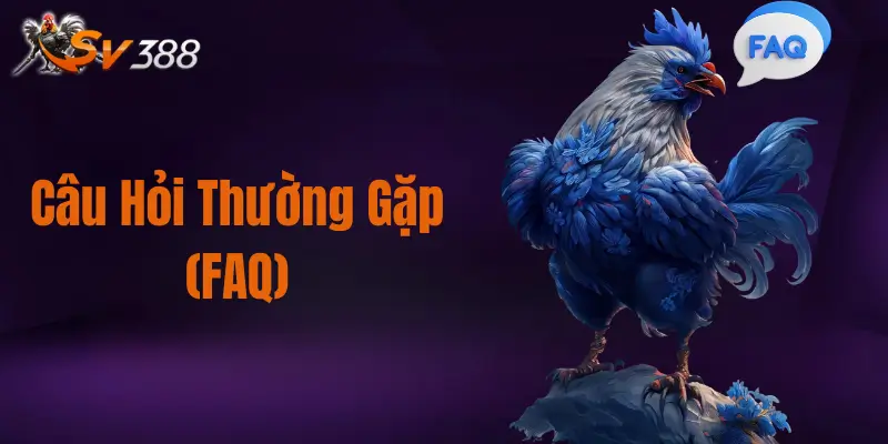 Trang Chủ 24 Câu Hỏi Thường Gặp (FAQ)