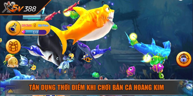 Bắn Cá Hoàng Kim Bí Mật Bội Thu Từ Trò Chơi Đổi Thưởng 4 Tận dụng thời điểm khi chơi bắn cá Hoàng Kim