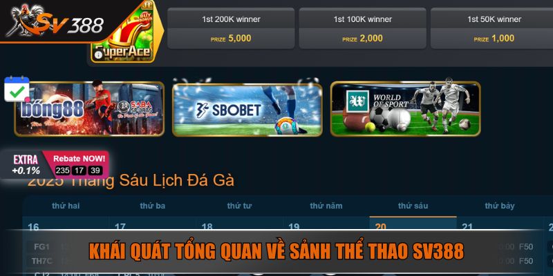 Khái quát tổng quan về sảnh thể thao SV388